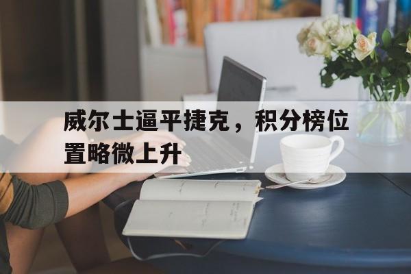 电竞博彩平台及app推荐-威尔士逼平捷克，积分榜位置略微上升